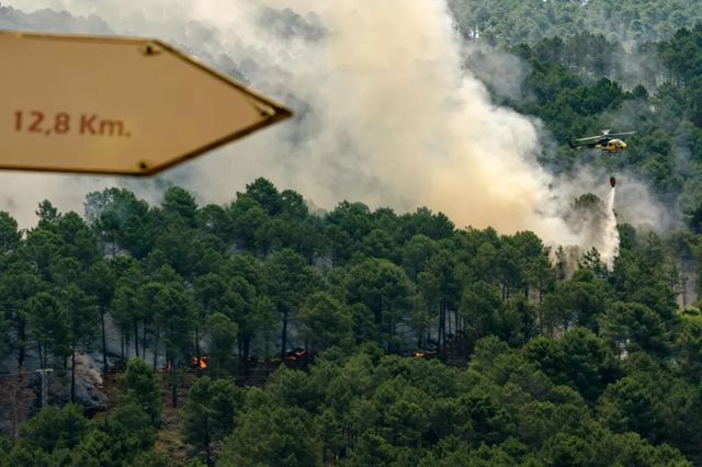 Arden 2.500 hectáreas en Las Hurdes y el viento agrava el incendio en Ávila