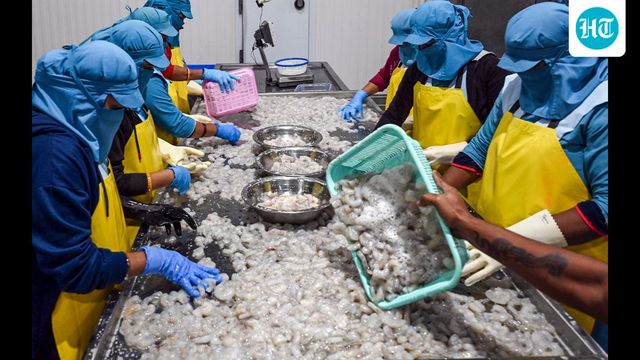 The case for the new labour codes