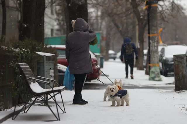 Prognoză meteo: 24 februarie - 3 martie, ultima cu temperaturi scăzute