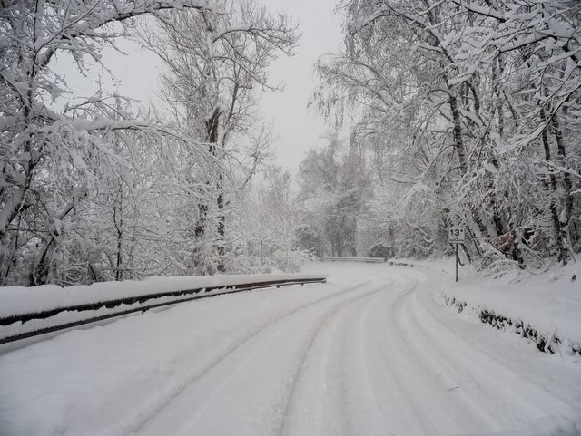Bambino fatto scendere dal bus a Belluno, pace fatta tra l’autista e i genitori