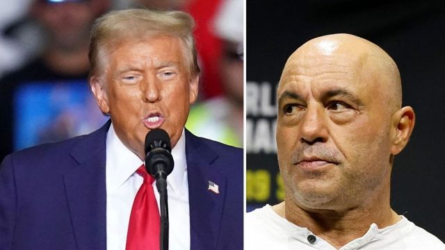 Joe Rogan Endorses Donald Trump On Eve Of US Election