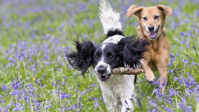 7 април – Световен ден на здравето