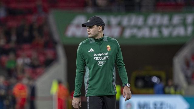 Szalai Ádámot az MLSZ alelnökévé választották