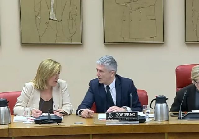 Marlaska defiende la baliza V-16 como «el fin de la sangría de atropellos»