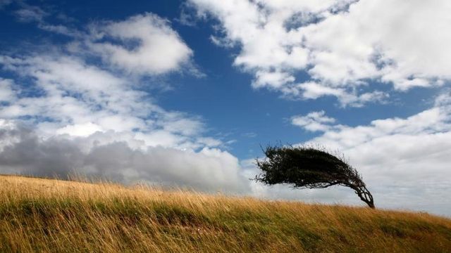 Cod galben de intensificări ale vântului, emis pentru 4 octombrie de către meteorologi