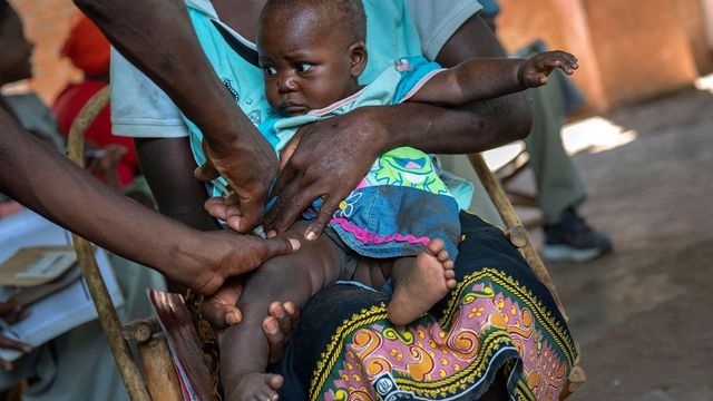 Luz verde de la OMS a una segunda vacuna contra la malaria