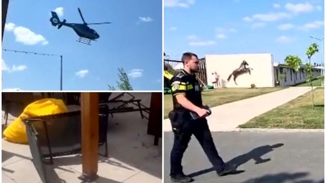 Scandal și anchetă la Constanța, după ce un om de afaceri și-a trimis elicopterul să-i ia fiica de la un centru de echitație