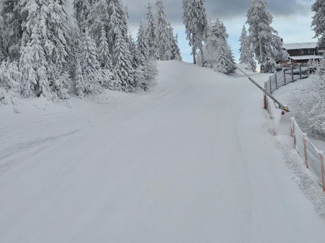 Sezonul de schi s-a deschis în Poiana Brașov - Money.ro