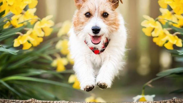 Слънчево ще е времето днес