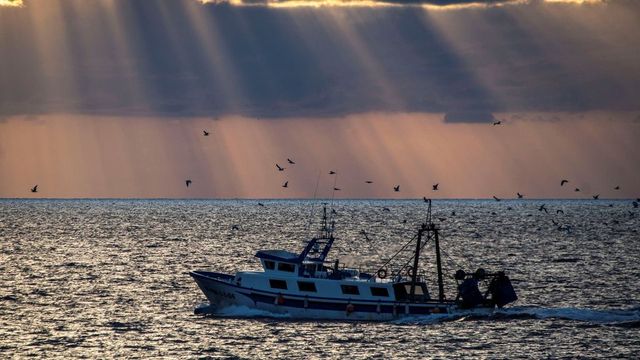 El TJUE falla que los acuerdos de pesca con Marruecos vulneraron los derechos saharauis