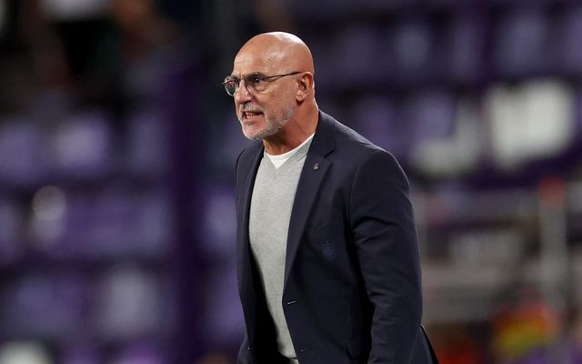 Ламин Ямал е в състава на Испания, Алваро Мората отсъства, само Давид Рая и Мартин Субименди не са пропускали повиквателна при Де ла Фуенте