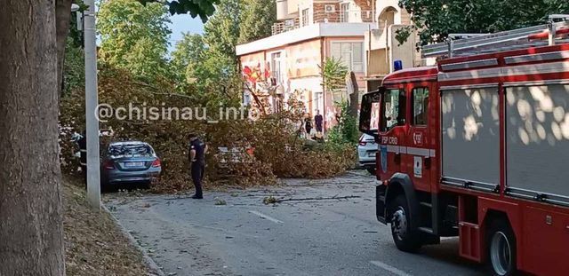 Guvernul va aloca aproximativ trei milioane de lei pentru localitățile afectate de calamități naturale în lunile mai și iunie