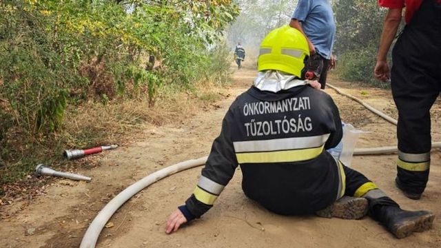 Sikerült megfékezni a Vas megyei bozóttüzet