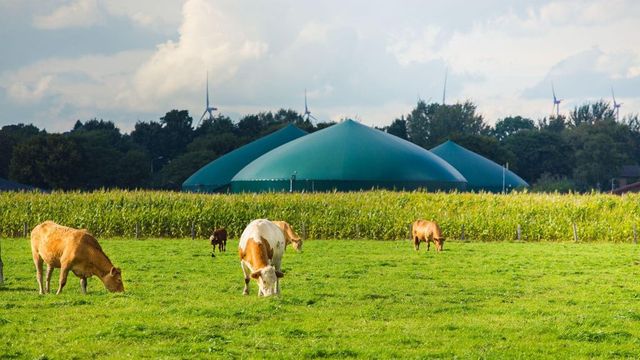 Moeve construirá 30 plantas de biometano antes de 2030 en España