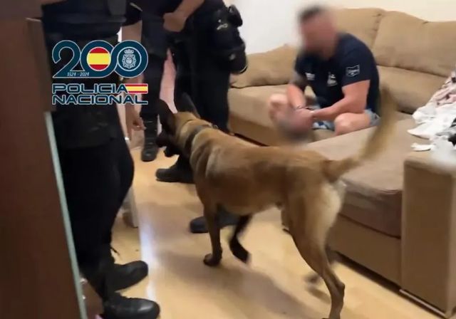 Desmantelada en Gandía una red de trata de mujeres que explotaba sexualmente a jóvenes colombianas