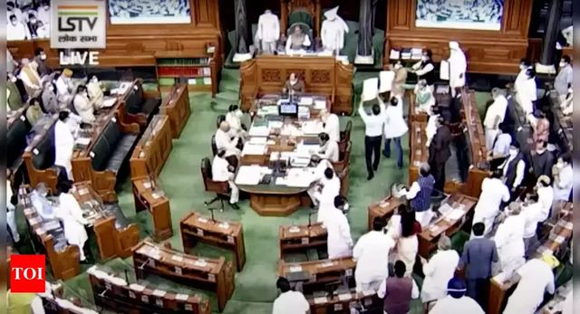 Cong members throw papers, torn placards at Chair in Lok Sabha