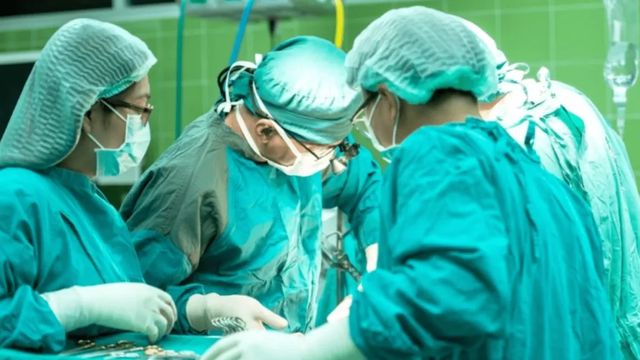 Un rinichi de porc transplantat a funcționat 271 de zile în corpul unui bărbat din SUA, stabilind un nou record medical