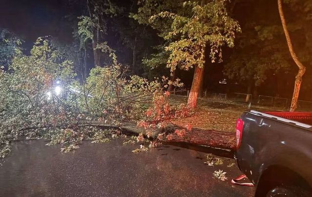 Arbori căzuți și pene de curent în urma ploilor abundente la Ungheni