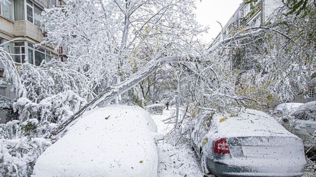 Adolescentă electrocutată pe un trotuar, în Sectorul 6, după ce un copac s-a prăbușit peste firele electrice