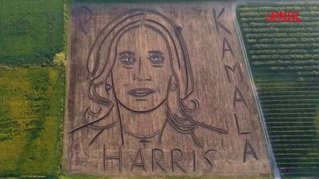 Verona, su un campo spunta un ritratto gigante di Kamala Harris