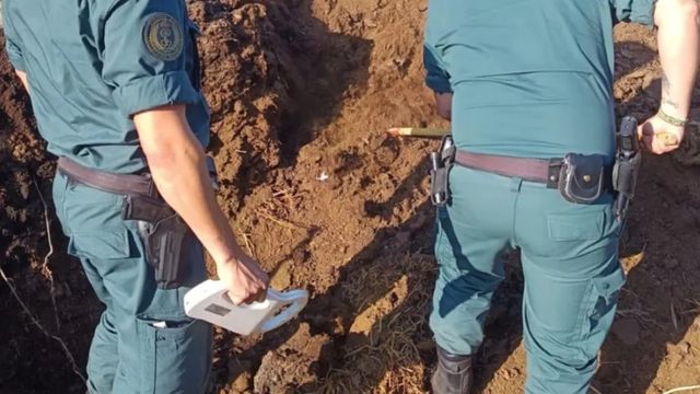 Detenido el presunto autor de matar a disparos a cinco perros en una finca de la comarca de La Sagra