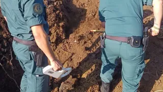 Detenido el presunto autor de matar a disparos a cinco perros en una finca de la comarca de La Sagra