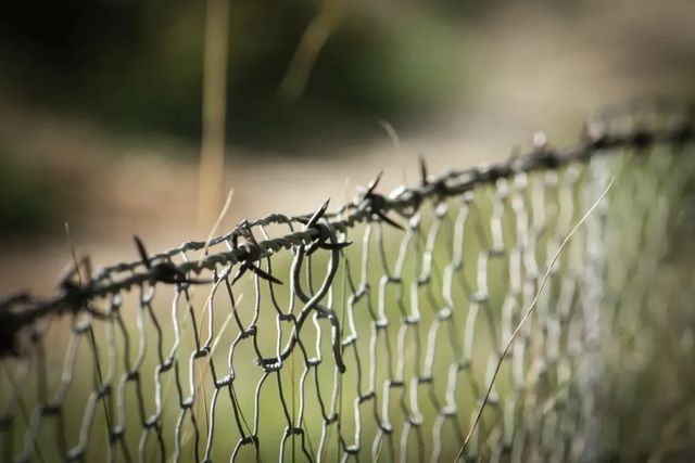 Trei moldoveni vor fi judecați pentru organizarea migrației ilegale a unor cetățeni din Tadjikistan