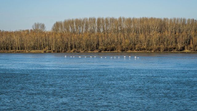 Румъния отпуска над 1,9 милиона евро за спешно драгиране на река Дунав в съвместния румънско-български участък