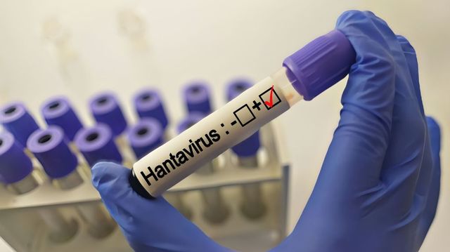Ucraina afirmă că înregistrează zeci de cazuri de hantavirus anual