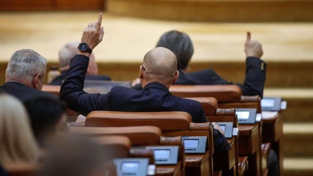 Fermele de blănuri vor fi interzise în România, din 2027. Votul a fost final în Camera Deputaților