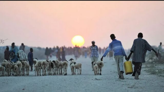 El cambio climático amplía la brecha de desigualdad: el papel de la protección social