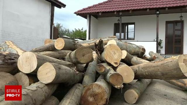 Romsilva lansează magazin online pentru lemne de foc. Cât costă un metru cub