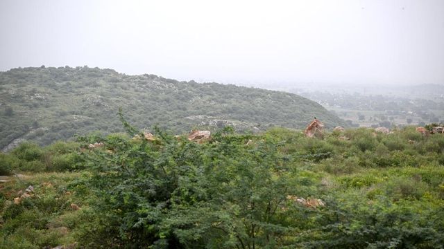 Supreme Court refuses extension for Aravalli panel, sets November 30 deadline for final report