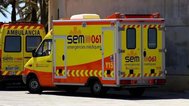 Muere un trabajador al caerle encima un árbol que estaba cortando en Barcelona