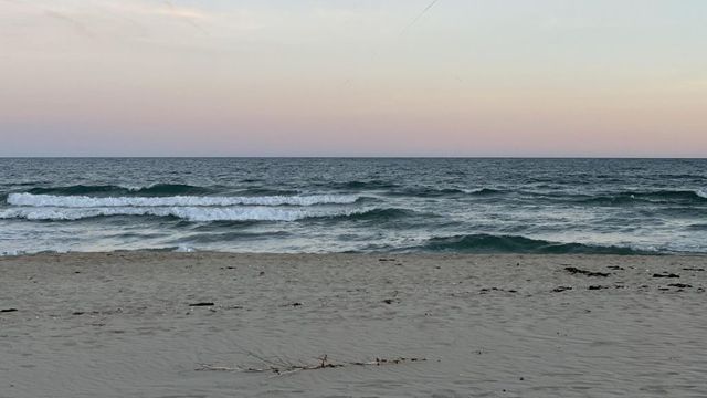 Сигнал за мазут на плаж във Варна, проверката не откри замърсяване