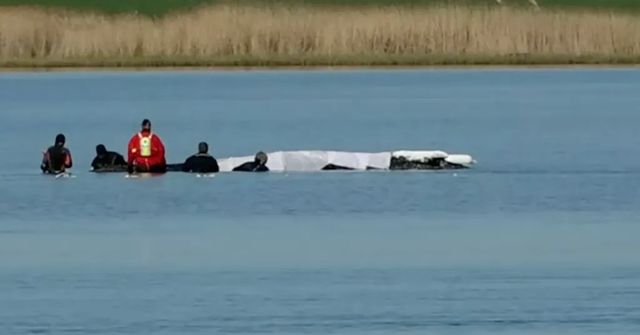 Na severu Německa začal další pokus o záchranu uvázlé velryby