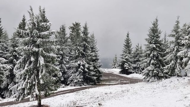 Ninge în Munții Parâng și în Poiana Brașov, s-a depus strat de zăpadă. Sunt minus 10 grade la Vârful Omu