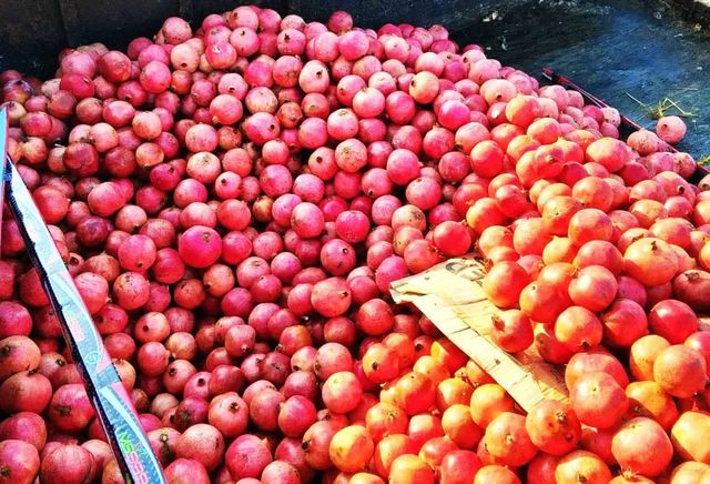 Aproape 19 tone de rodii cu pesticide peste limită, oprite la frontieră și distruse