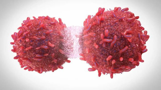 Descubren que el glutatión es un combustible para las células tumorales