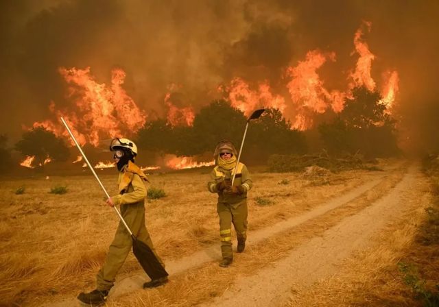 La ola de incencios no da tregua: 1.7OO desalojados tras llegar a Sanabria el fuego de Orense