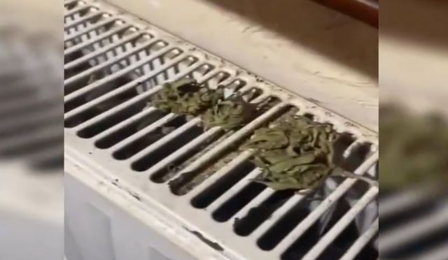 Trei bărbați riscă până la 15 ani de închisoare după ce au fost reținuți pentru cultivarea și vânzarea drogurilor în Chișinău