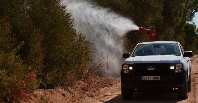 Una mujer de 68 años, primera víctima mortal por fiebre del Nilo Occidental en Extremadura