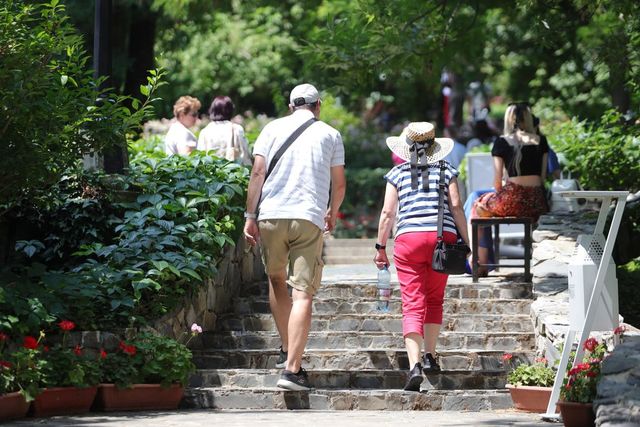 Populația României în scădere la 1 ianuarie 2025