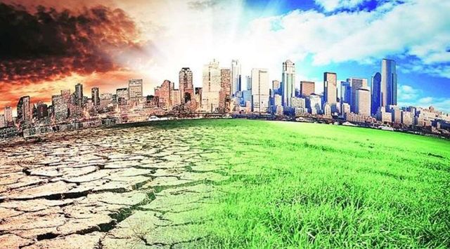 IMD says 2021 fifth warmest year in India since 1901
