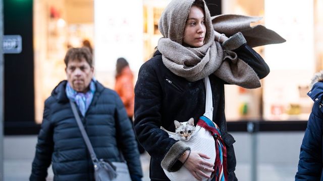 Una masa de aire ártico traerá a Euskadi temperaturas bajo cero durante esta semana
