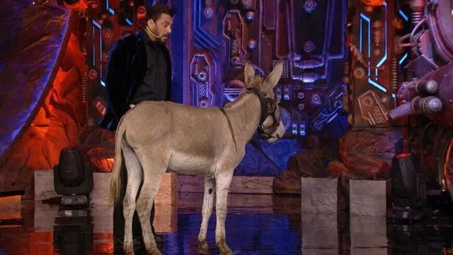 PETA India Urges Salman Khan To Remove Donkey From Bigg Boss 18 Set