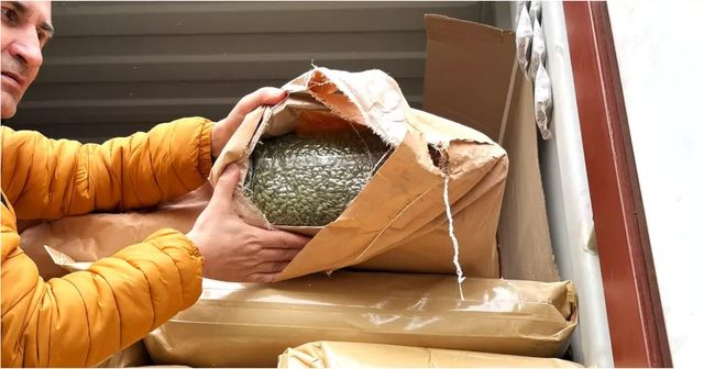 15 tone de semințe de dovleac cu pesticide, oprite la frontieră