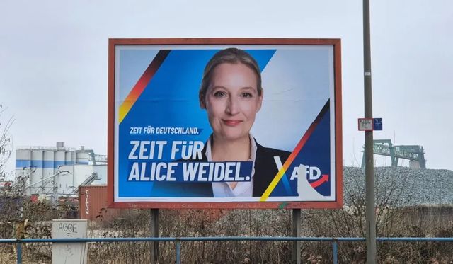 Alegeri parlamentare în Germania. AfD crește în sondaje