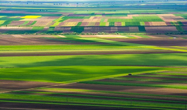 Bugetul Ministerului Agriculturii, suplimentat pentru despăgubirea fermierilor