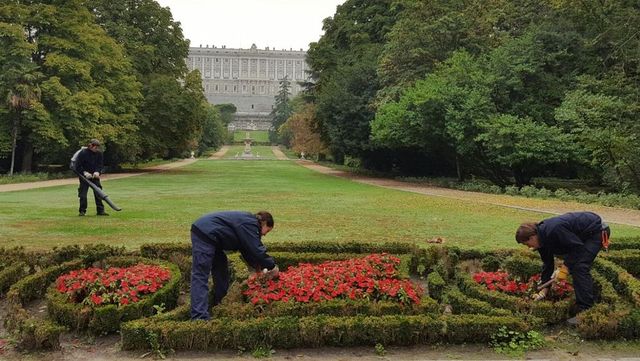 Se buscan jardineros y guías para trabajar en los Palacios Reales